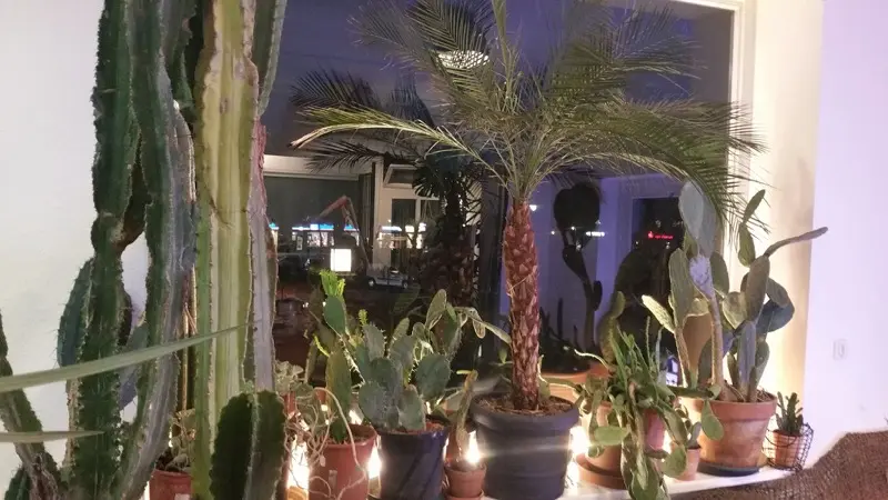 Schloßgärtnerei TXL Berlin