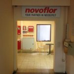 Novoflor Linz