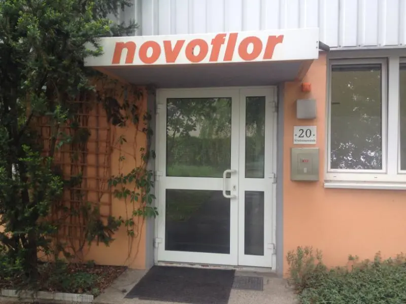 Novoflor Linz