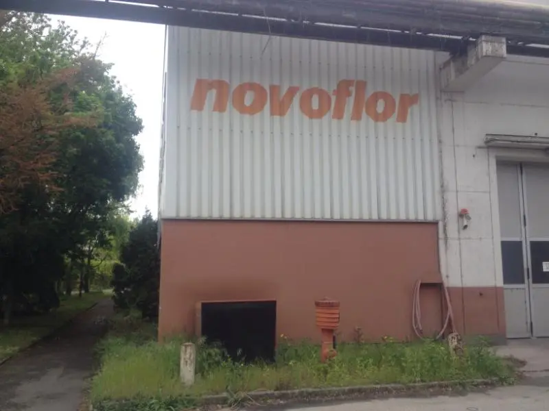 Novoflor Linz