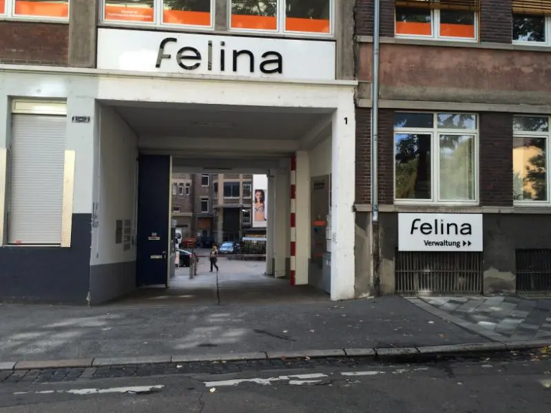 Felina Mannheim